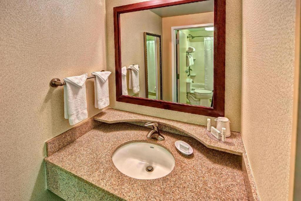 Springhill Suites Norfolk Old Dominion University Εξωτερικό φωτογραφία